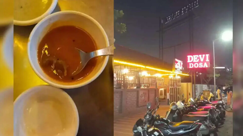 https://www.gujaratijagran.com/gujarat/ahmedabad/now-a-dead-rat-came-out-of-the-sambhar-of-devi-dhosa-restaurant-in-nikol-ahmedabad-the-food-department-took-action